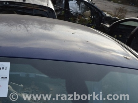ФОТО Крыша и люк для Ford Escape 3 (01.2012-12.2018) Одеса