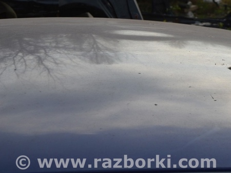 ФОТО Крыша и люк для Ford Escape 3 (01.2012-12.2018) Одеса
