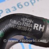ФОТО Система охлаждения для Ford Focus 3 (01.2010 - 03.2018) Одеса