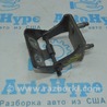 ФОТО Дверь багажника для Ford Focus 3 (01.2010 - 03.2018) Одеса