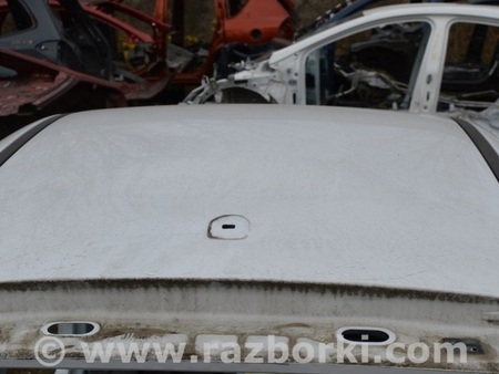 ФОТО Крыша и люк для Ford Focus 3 (01.2010 - 03.2018) Одеса