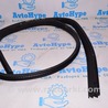 Уплотнитель проема Ford Focus 3 (01.2010 - 03.2018)