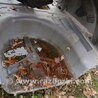 Кузов-жесть KIA Optima 3 TF (10-15)