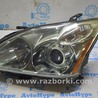 Оптика передняя Lexus RX300/330/350/400 (03-09)