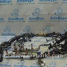 Проводка Lexus RX300/330/350/400 (03-09)