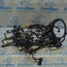 ФОТО Проводка для Lexus RX300/330/350/400 (03-09) Одеса
