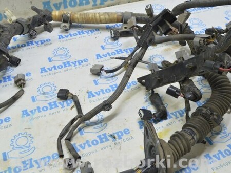 ФОТО Проводка для Lexus RX300/330/350/400 (03-09) Одеса