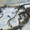 ФОТО Проводка для Lexus RX300/330/350/400 (03-09) Одеса