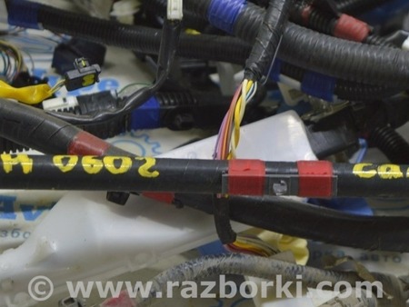ФОТО Проводка для Lexus RX300/330/350/400 (03-09) Одеса