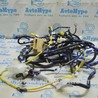Проводка Lexus RX300/330/350/400 (03-09)