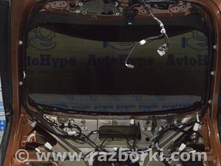 ФОТО Дверь багажника для Lexus RX350 V AL30 (2022-) Одеса