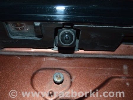 ФОТО Дверь багажника для Lexus RX350 V AL30 (2022-) Одеса