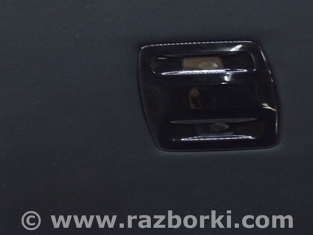 ФОТО Отделка крыши для Lexus RX350 V AL30 (2022-) Одеса