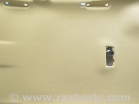 ФОТО Отделка крыши для Lexus RX350/450 III AL10 (09-15) Одеса