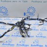Дверь багажника Lexus RX350/450 III AL10 (09-15)
