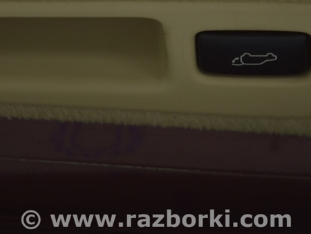 ФОТО Дверь багажника для Lexus RX350/450 III AL10 (09-15) Одеса
