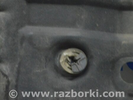 ФОТО Защита для Lexus RX350/450 III AL10 (09-15) Одеса