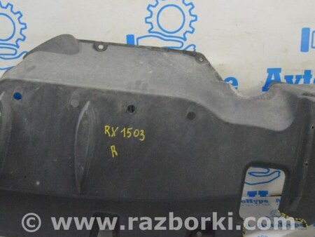 ФОТО Защита для Lexus RX350/450 III AL10 (09-15) Одеса
