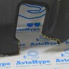 ФОТО Защита для Lexus RX350/450 III AL10 (09-15) Одеса