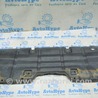 ФОТО Защита для Lexus RX350/450 III AL10 (09-15) Одеса