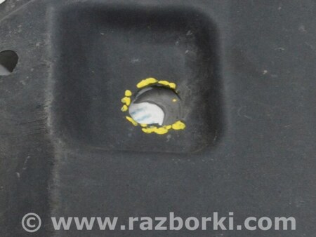 ФОТО Защита для Lexus RX350/450 III AL10 (09-15) Одеса