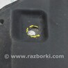 ФОТО Защита для Lexus RX350/450 III AL10 (09-15) Одеса