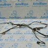 Проводка Lexus RX350/450 III AL10 (09-15)