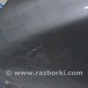 ФОТО Крылья для Lexus RX350/450 III AL10 (09-15) Одеса
