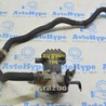 Система охлаждения Lexus RX350/450 IV AL20 (15-22)