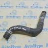 Система охлаждения Lexus RX350/450 IV AL20 (15-22)