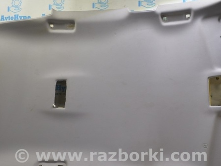 ФОТО Отделка крыши для Lexus RX350/450 IV AL20 (15-22) Одеса