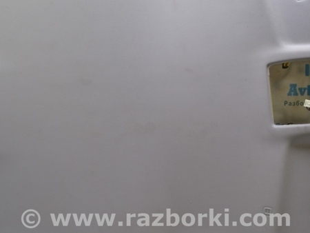 ФОТО Отделка крыши для Lexus RX350/450 IV AL20 (15-22) Одеса