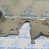 ФОТО Защита для Lexus RX350/450 IV AL20 (15-22) Одеса