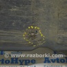ФОТО Защита для Lexus RX350/450 IV AL20 (15-22) Одеса