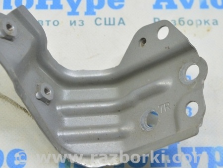 ФОТО Крылья для Lexus RX350/450 IV AL20 (15-22) Одеса