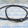 Уплотнитель проема Lexus RX350/450 IV AL20 (15-22)