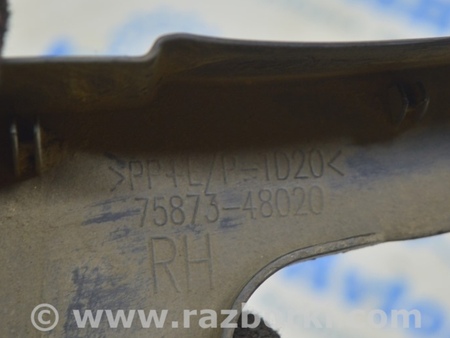 ФОТО Крылья для Lexus RX350/450 IV AL20 (15-22) Одеса