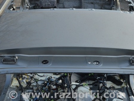 ФОТО Крыша и люк для Lexus RX350/450 IV AL20 (15-22) Одеса