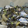 ФОТО Проводка для Lexus RX350/450 IV AL20 (15-22) Одеса