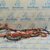 Проводка Lexus RX350/450 IV AL20 (15-22)