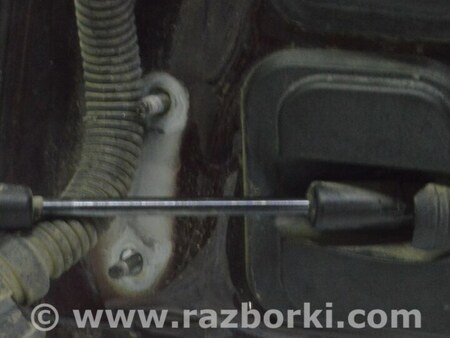 ФОТО Дверь багажника для MINI F54 Clubman (14-24) Одеса