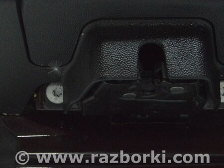 ФОТО Дверь багажника для MINI F54 Clubman (14-24) Одеса