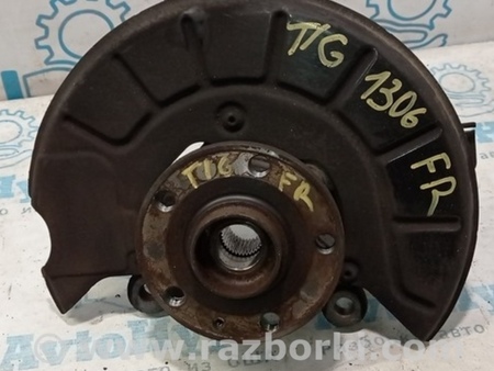 ФОТО КулакЦапфаСтупица для Volkswagen Tiguan (11-17) Одеса
