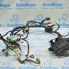 Проводка Acura MDX YD3 (13-20)