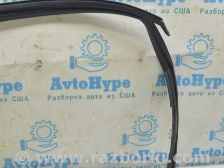 ФОТО Дверь задняя левая для Audi (Ауди) A4 V B9 - 8W (2015-) Одеса