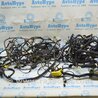 Проводка Audi (Ауди) A3 III 8V (12-20)