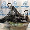 Проводка Audi (Ауди) A4 IV B8 8K (07-15)