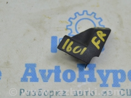 ФОТО Крылья для Audi (Ауди) A4 V B9 - 8W (2015-) Одеса