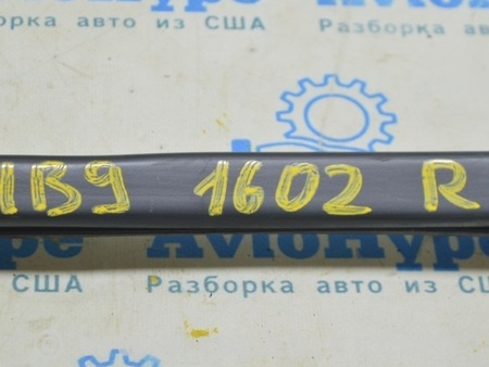 ФОТО Рычаг задний для Audi (Ауди) A4 V B9 - 8W (2015-) Одеса