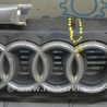 ФОТО Решетка радиатора для Audi (Ауди) A8 II D3 4E (02-09) Одеса
